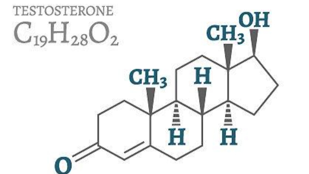五十岁男人雄激素减少怎么办,男60岁后雄激素依然旺盛好吗