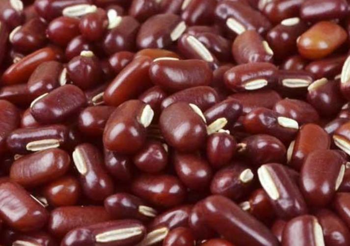 赤小豆进口清关报关指南,赤小豆进口清关