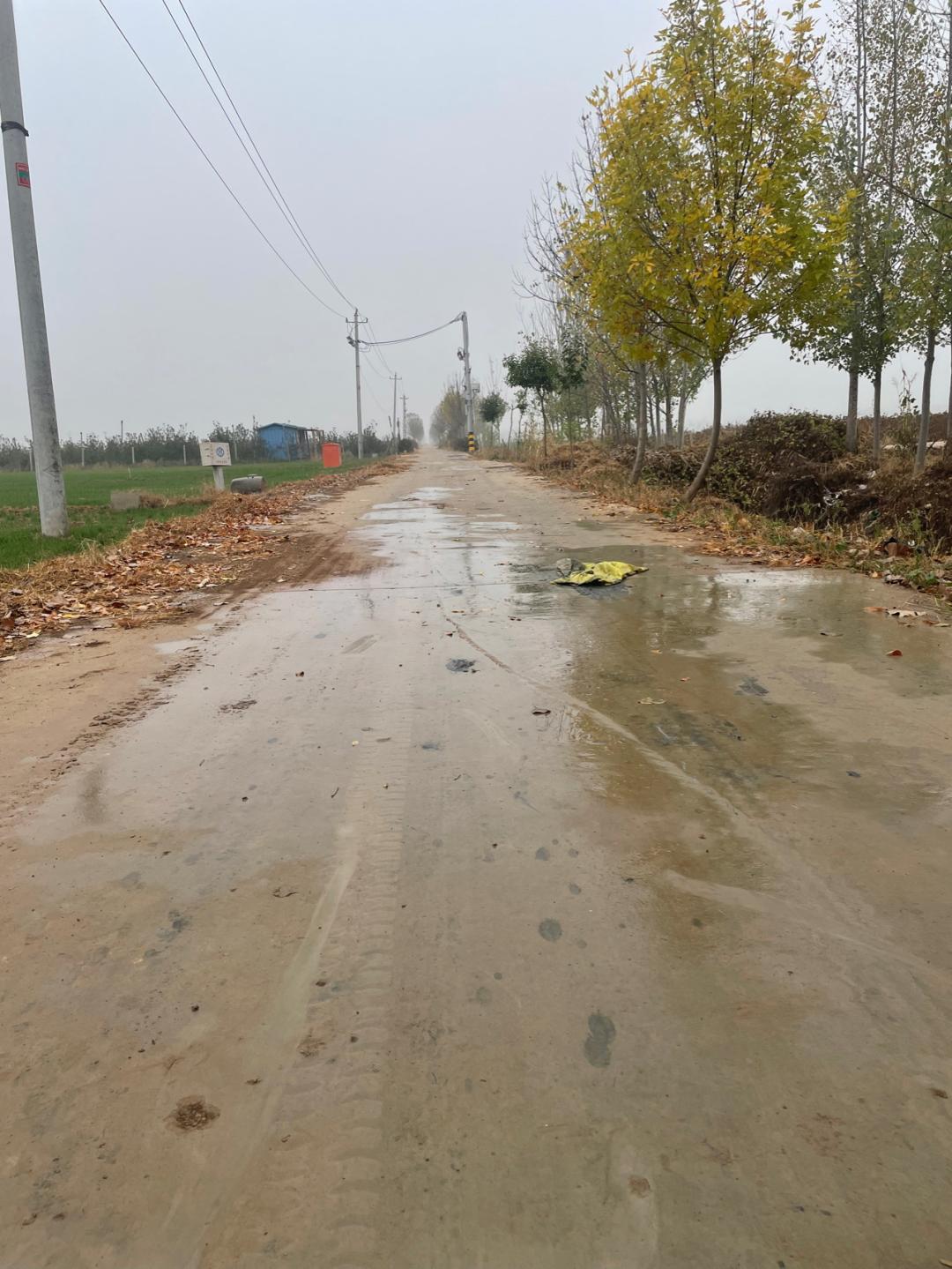 董董骑行山东,山东菏泽巨野县怎么样