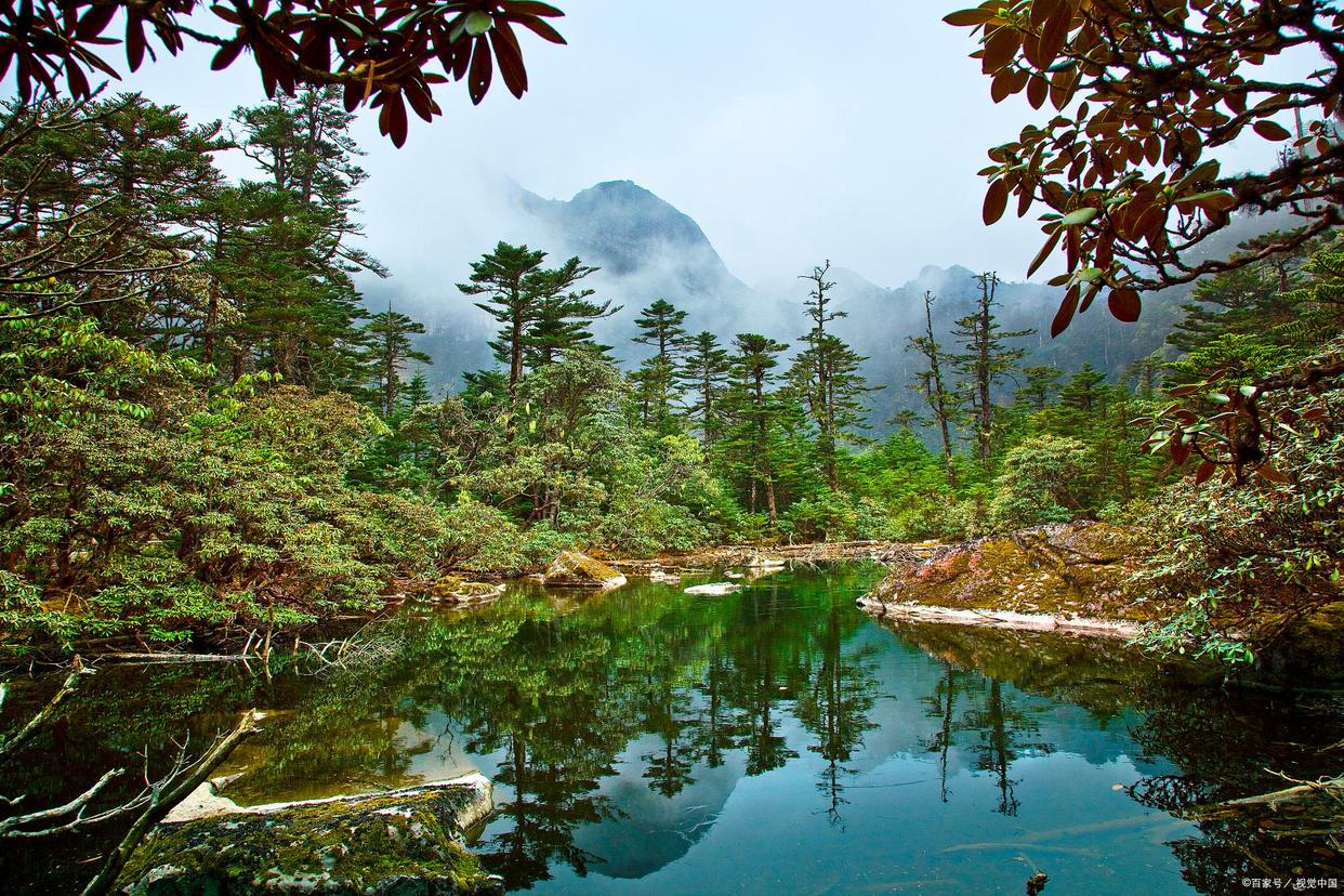 去四川必吃的10大名菜,去四川旅游必打卡的六大特色美食