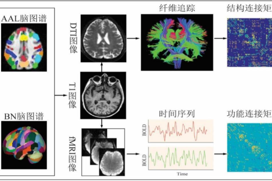 喜报获得金奖,喜报省特等奖