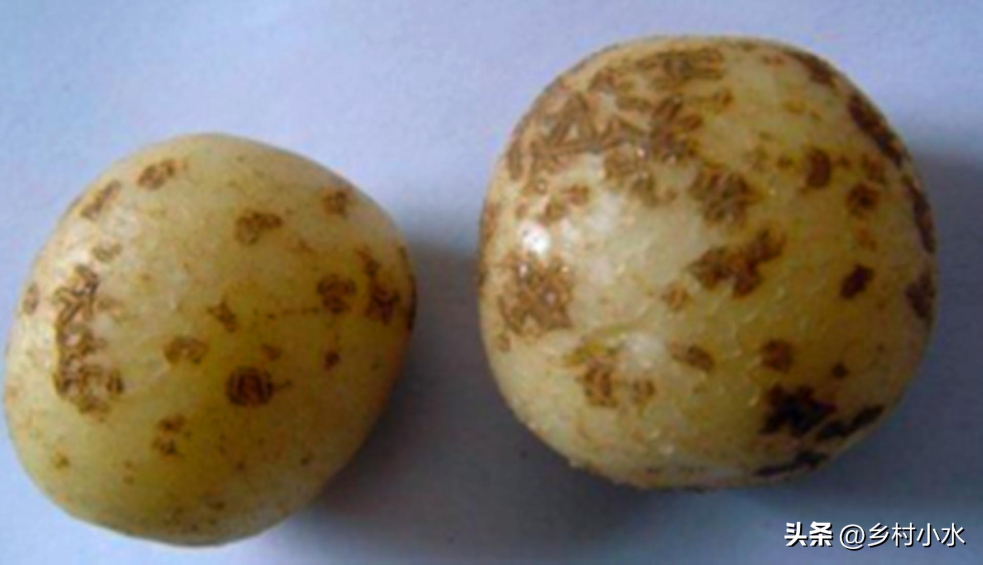 马铃薯疮痂病怎么治,马铃薯疮痂病土壤防治方法