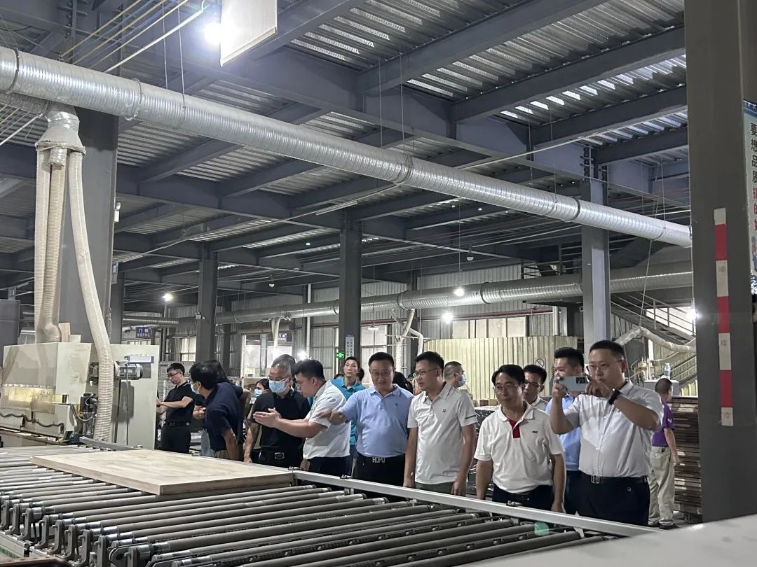 广东门业协会整木定制专委会,广东省门窗协会采访