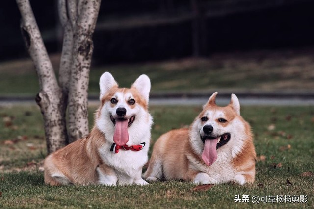 爆笑幽默笑话大全妙趣横生笑翻了,幽默笑话大全笑一笑