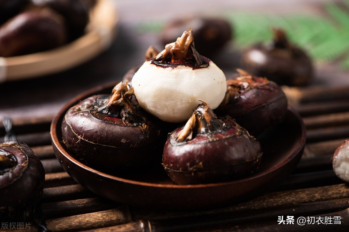 荸荠诗句,荸荠古诗