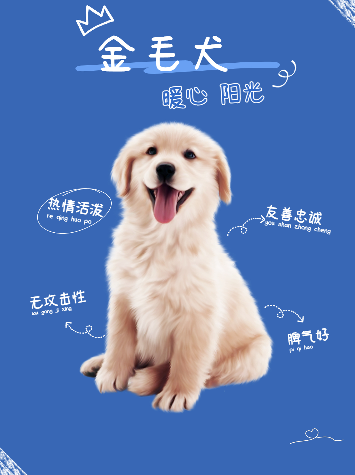 既能护主又忠诚且霸气的大型犬,哪些护主而且还不被禁养的大型犬