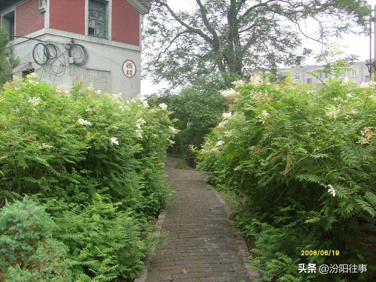 山西汾阳中学简介,汾阳中学观后感