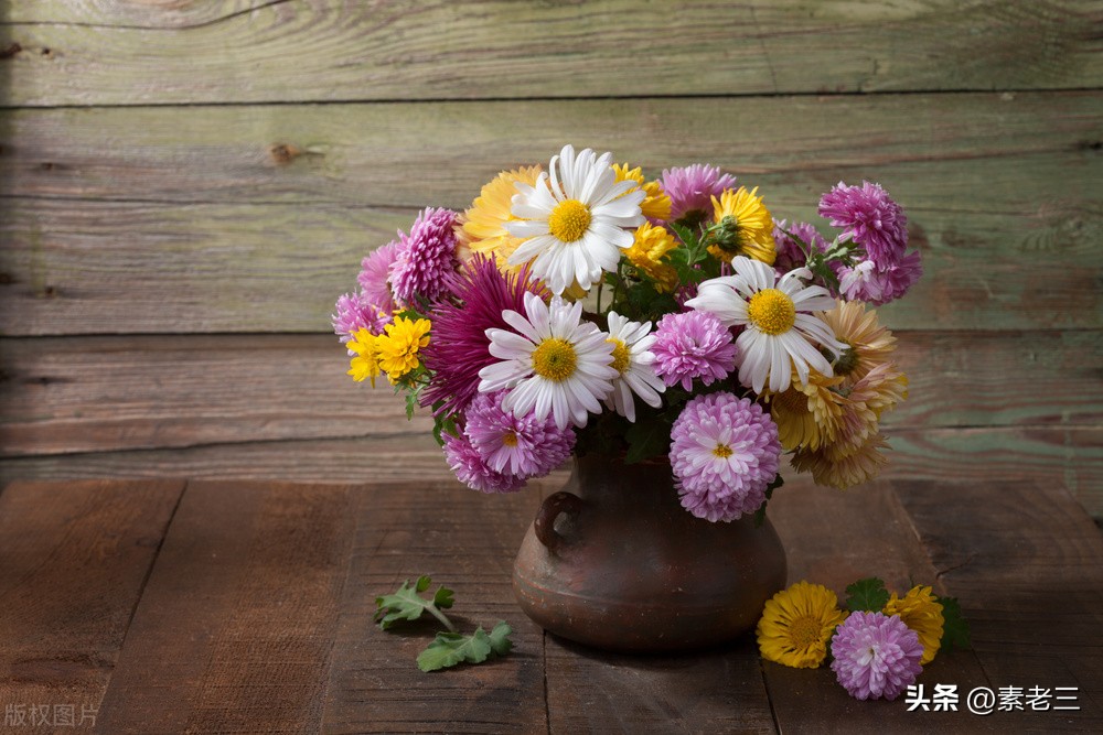 女作家去做保姆517,女作家去做保姆最新篇文章