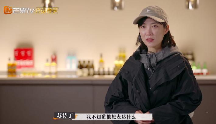 苏诗丁和卢歌再见爱人结局,再见爱人2苏诗丁和卢歌复合了吗