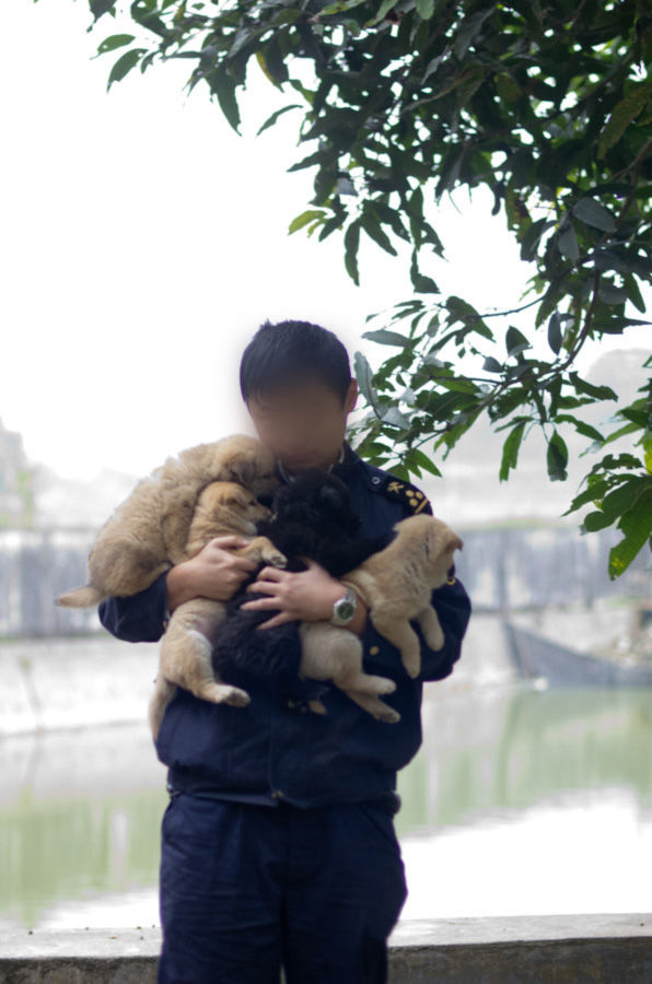 公务员报考海关必选政治吗,海关公务员报考条件专业