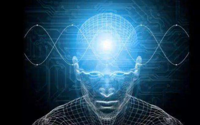 从年入38万的巨富到拼命的“加班狗”，中港司机给我们什么启示？