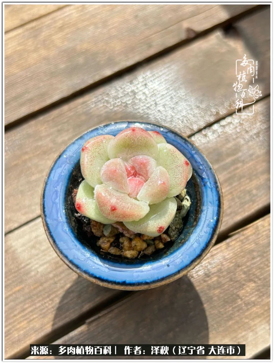 四季轮回之秋天,四季轮回之冬季