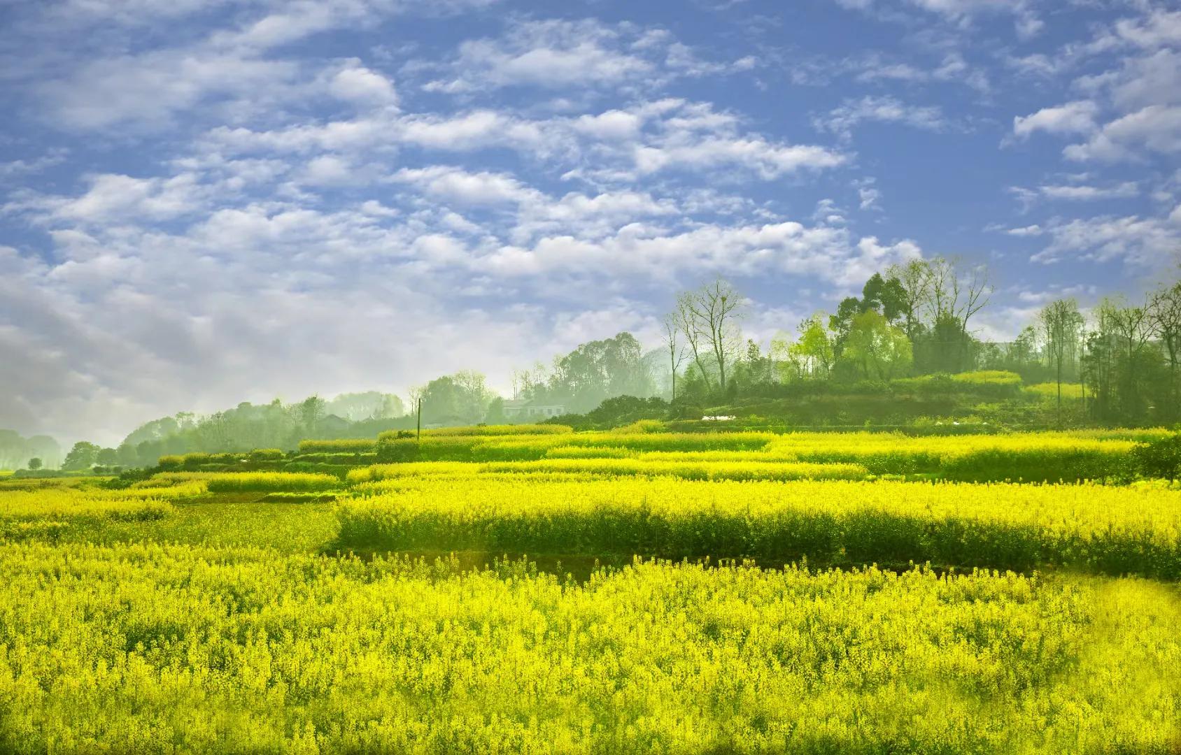 抗疫情手工制作大全创意,疫情之间在家做手工活我是认真的