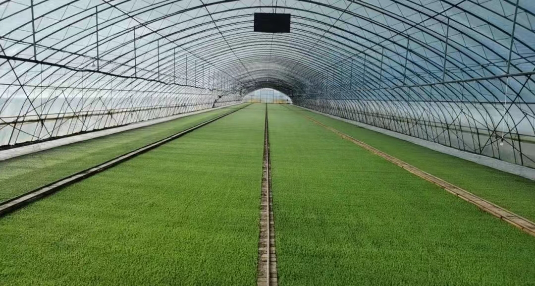 北大荒二次创业营销,二次创业北大荒