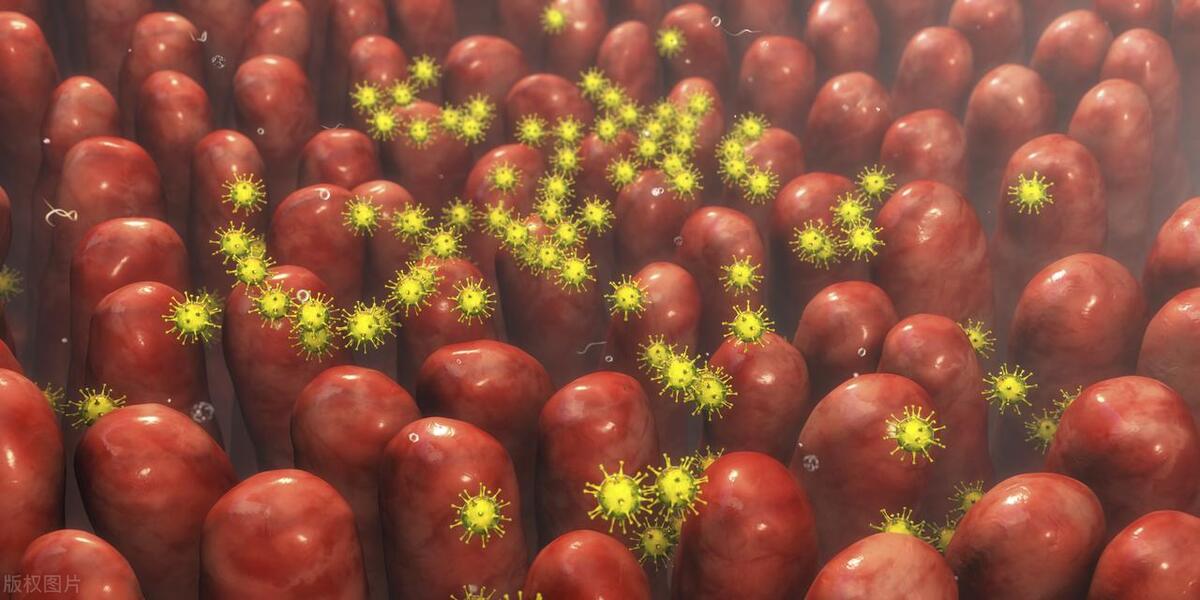 什么是老年性阴道炎？你真的了解吗？医生为你解答