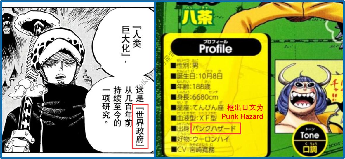 「流星电台」海贼王10641065分析-高质量解读