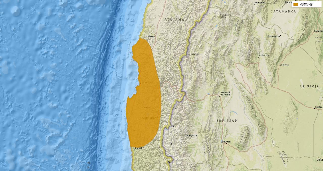 素食宠物食品,素食宠物零食有哪些品种