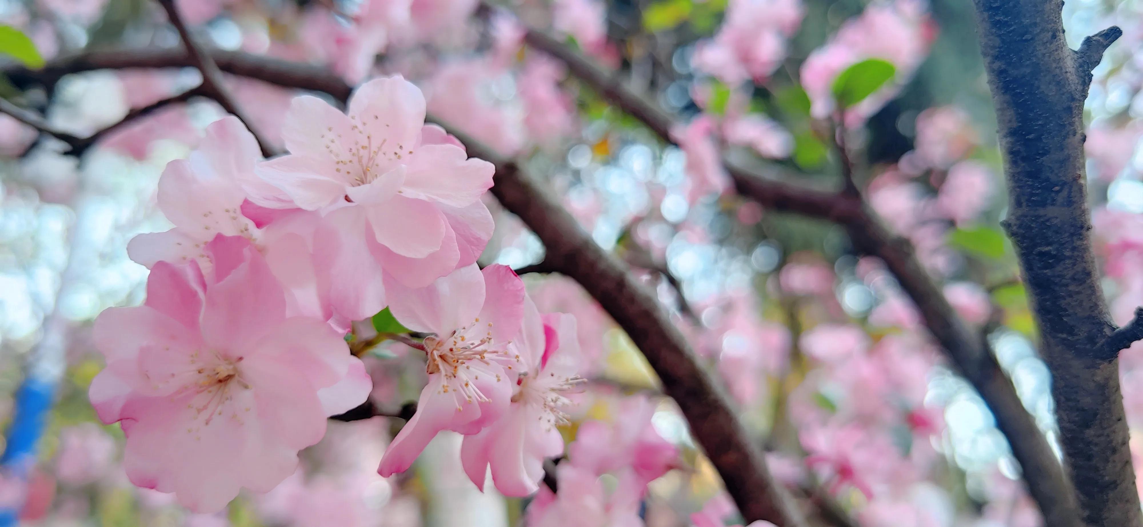 昆明周边一日游旅游景点,昆明旅游必去七大景点推荐