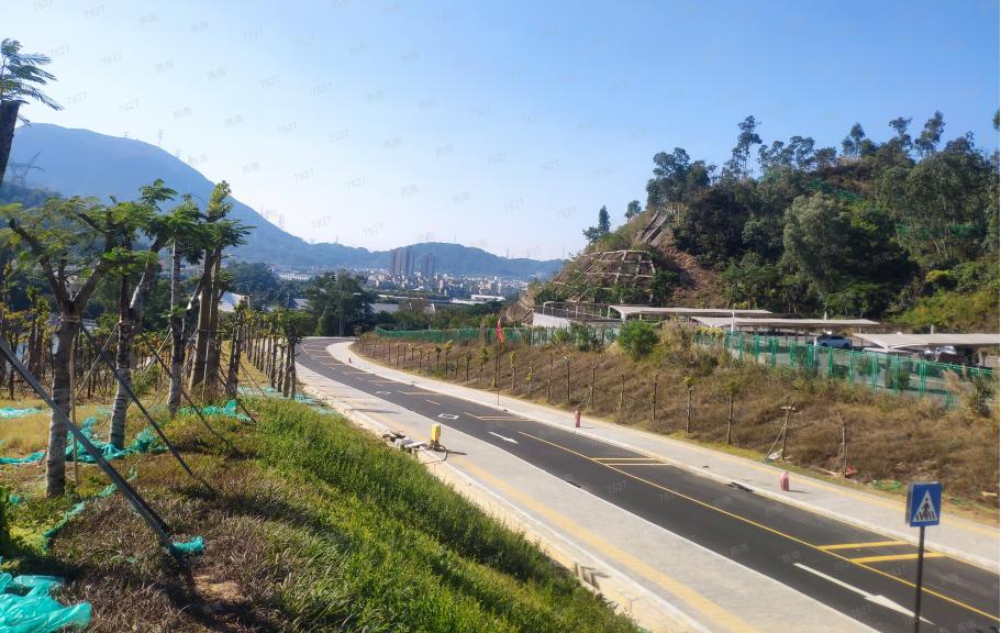 阳台全部打通连客厅,全打通户型