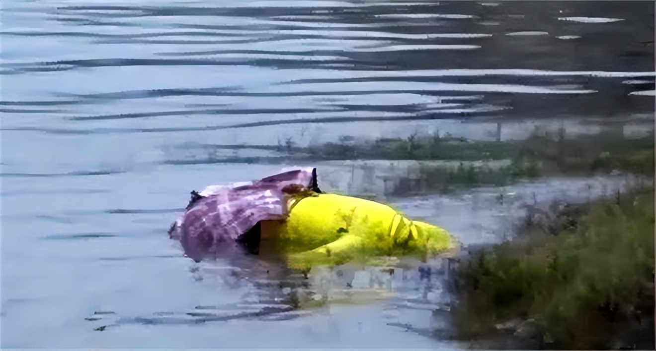 长江惊现玫瑰纹身女尸,乌江惊现无名女尸