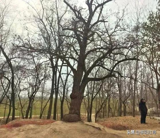 黄河古渡口传说,徐州黄河故道故事