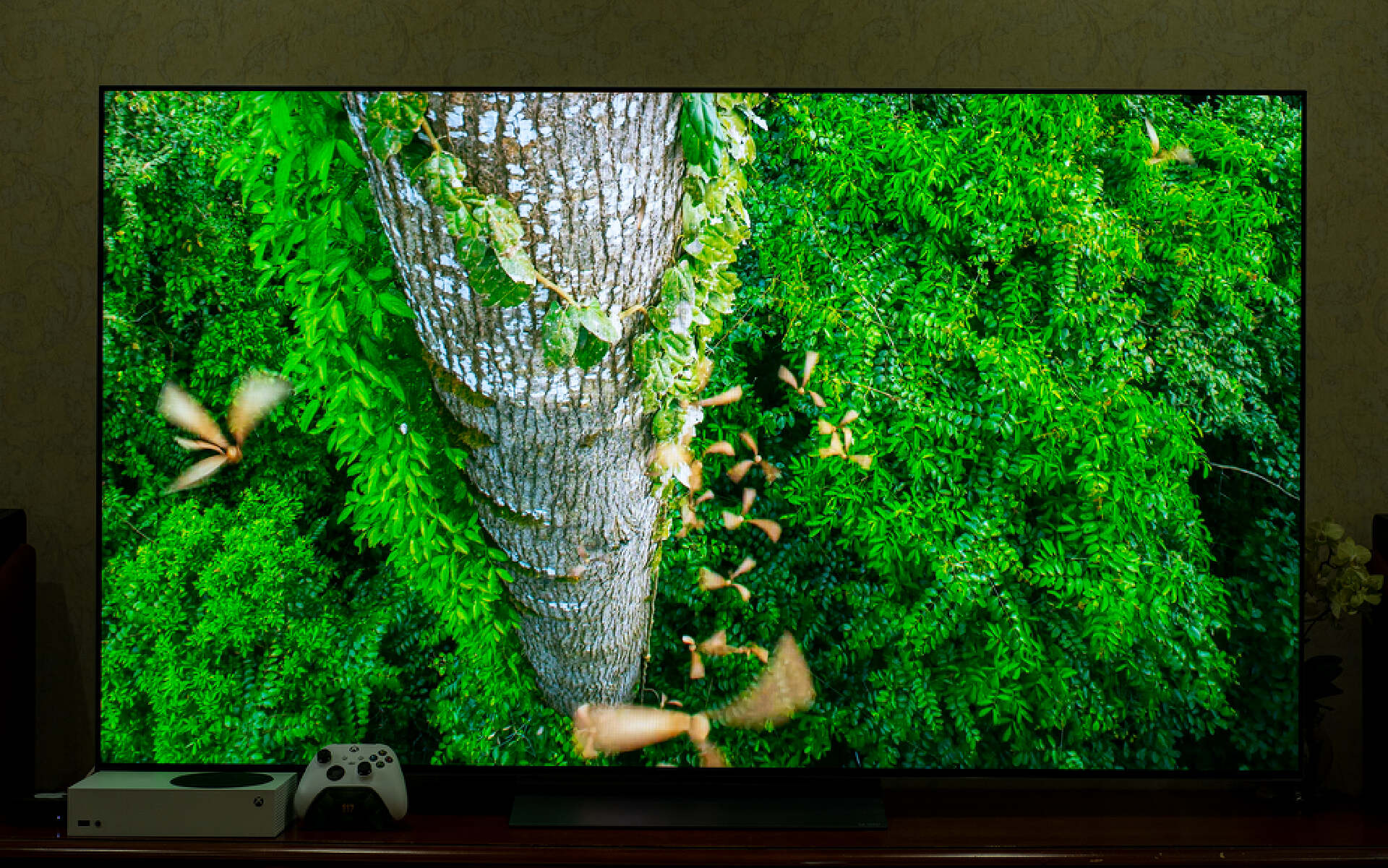 oled超高画质电视,画质天花板microled