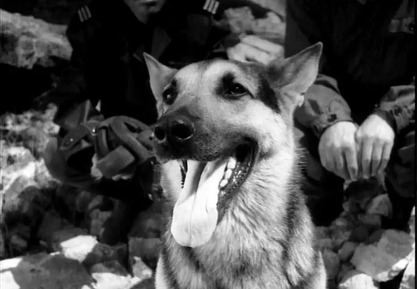 老婆被击毁！我们撤！盘点那些你绝对不知道的“鲁迪”冷知识