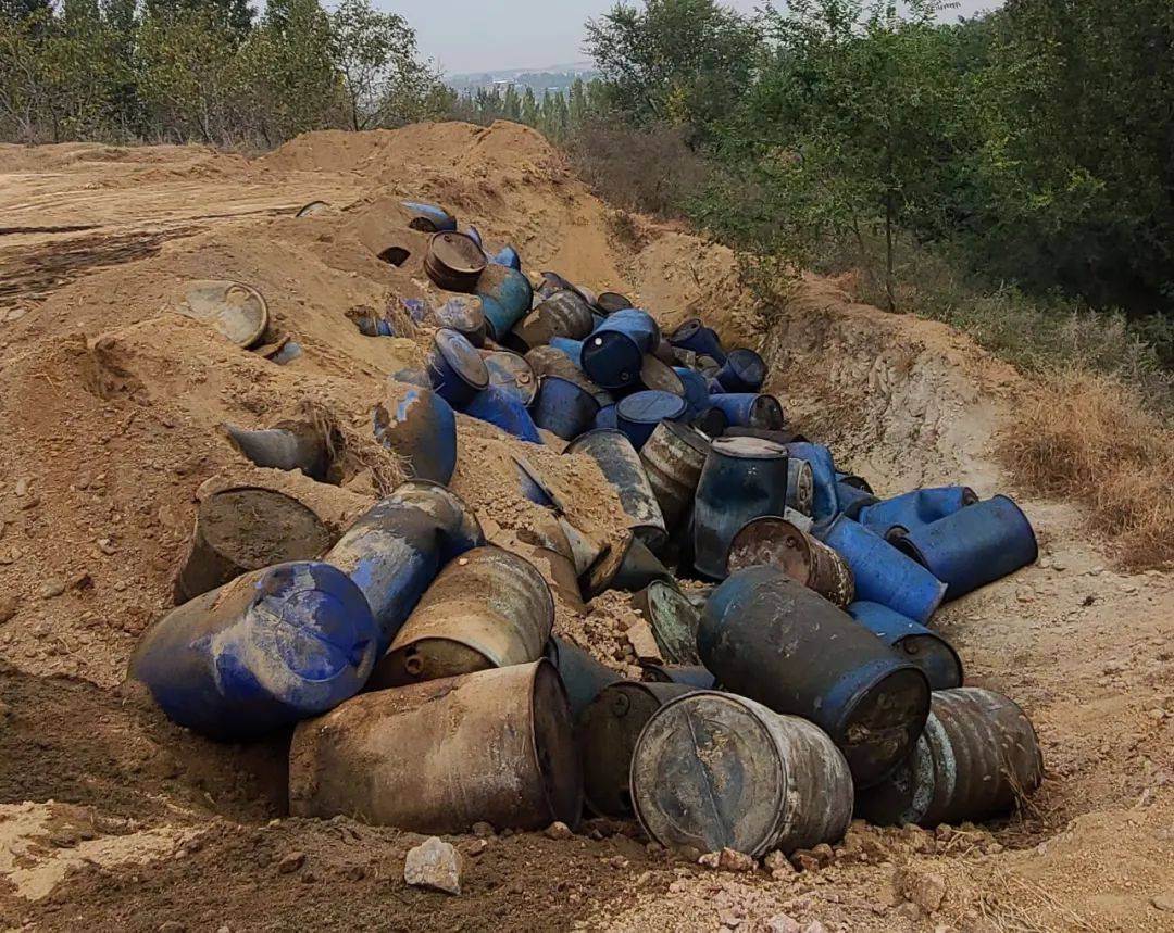 野生动物保护公益诉讼典型案例,检察院助力生态环境保护公益诉讼