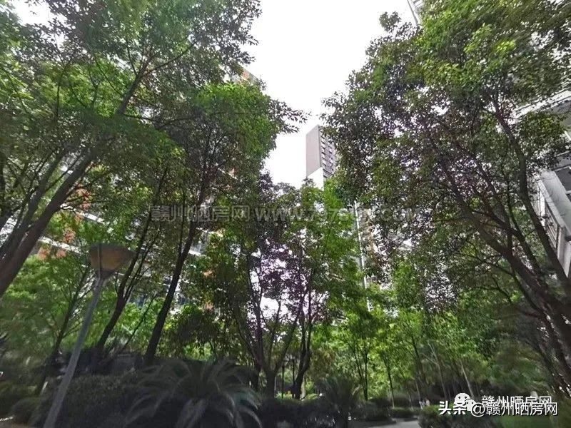 赣州房子天花板,赣州小区天花板