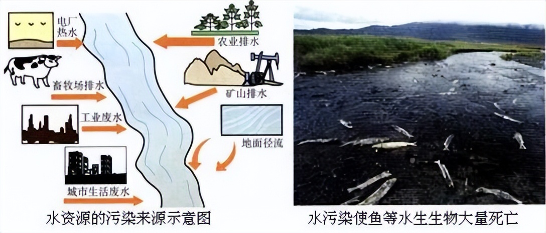 科学知识大全小学生必背,科学知识大全全集