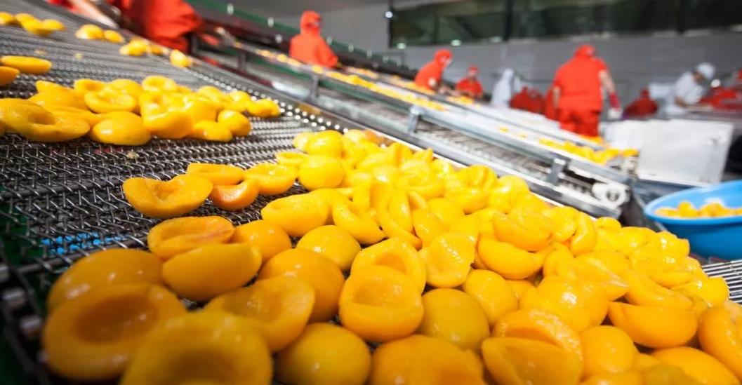 黄桃罐头能量高吗,黄桃罐头神一般的存在