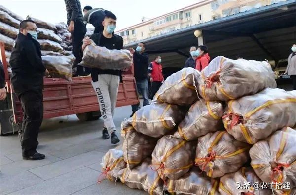 数百吨压仓卖不动,低至4毛5一斤,商家还在压价,农户亏大了