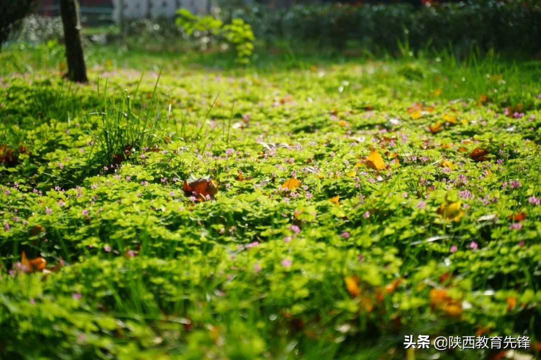 西安铁道技师学院周围环境,西安铁道职业学校教室有表吗