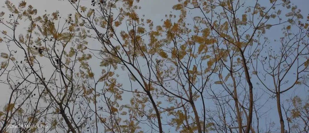 一部好的手机能干嘛,一部好的手机该如何去选择