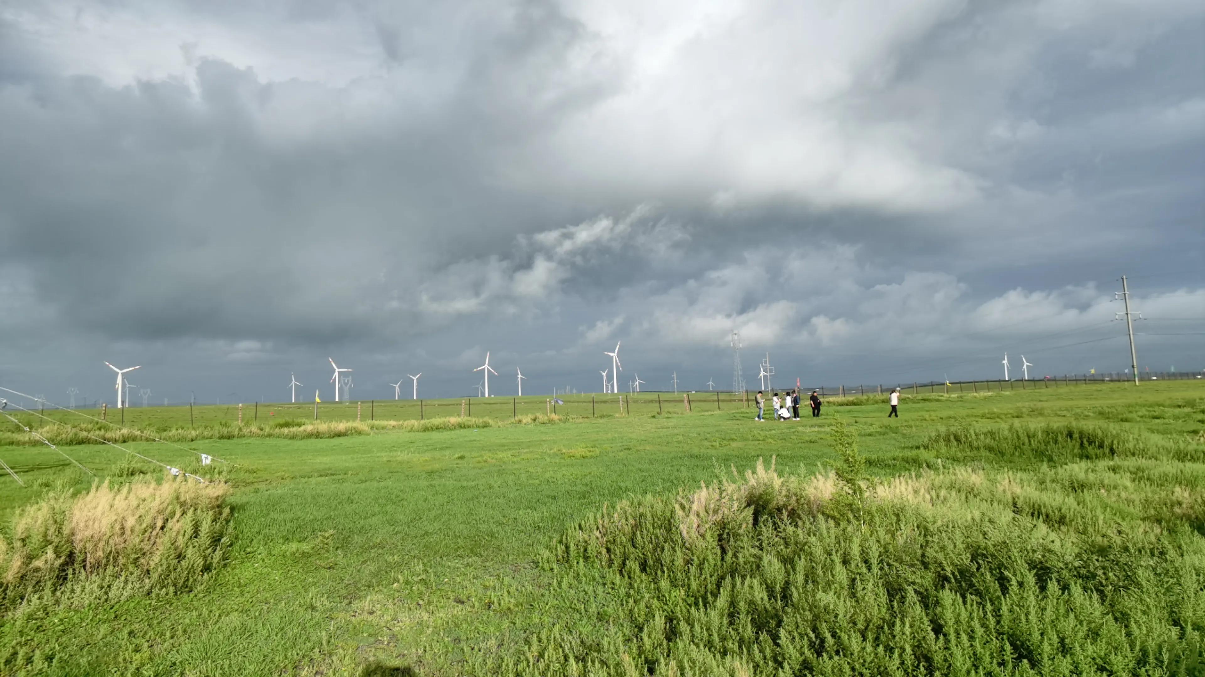 腾势d9同城车友会,腾势d9车友活动济南
