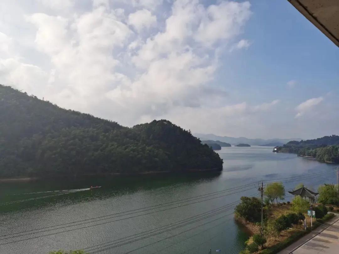 不斋,寻茶记六安瓜片