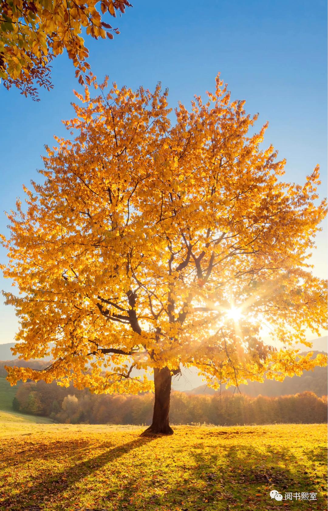 反经：霸图（十二）