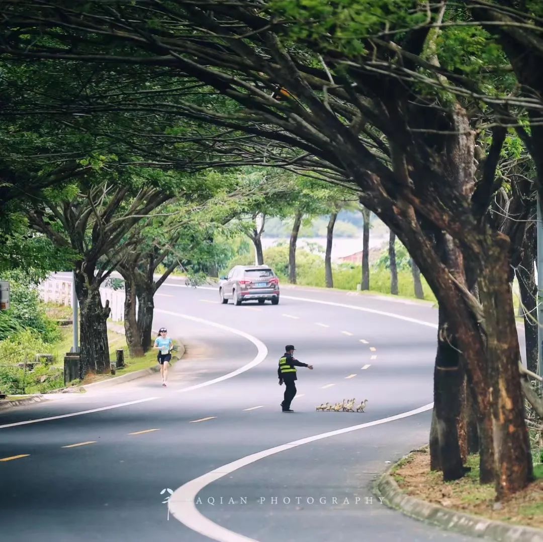 越山向海解析,越山向海深度解析