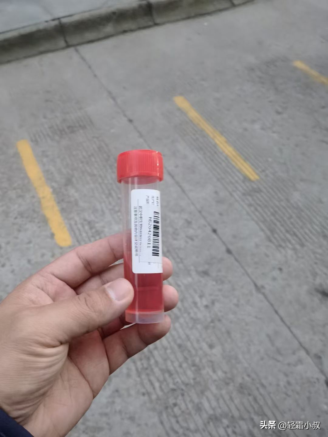 做着核酸,看着世界杯,吃着汪小菲大S的瓜,这个星期就过去了