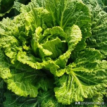 想在网上查个信息怎么查,查信息去哪些网站