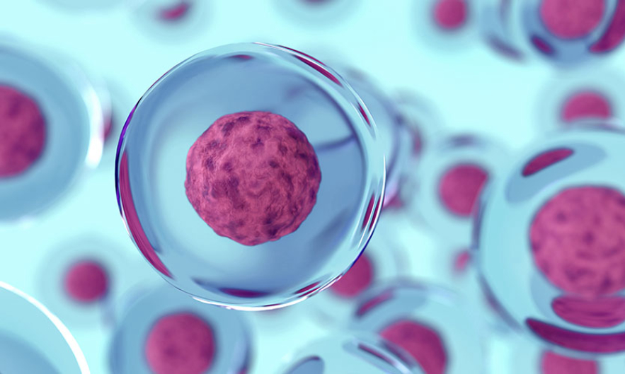 人体冷冻为什么不能解冻,人体冷冻面临的挑战