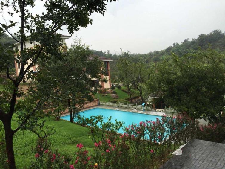 上海附近去哪里泡温泉,上海附近泡温泉一日游攻略