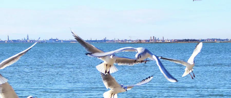 5月8日兰州到拉萨的特价机票,兰州10天内特价机票