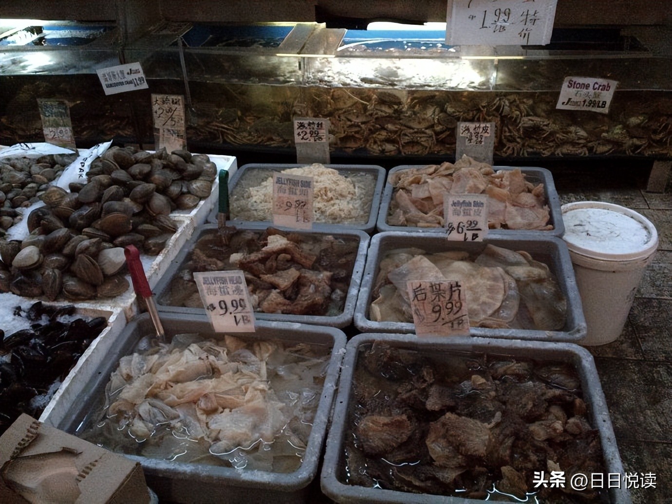 美国华人超市购物便宜,美国真实超市购物