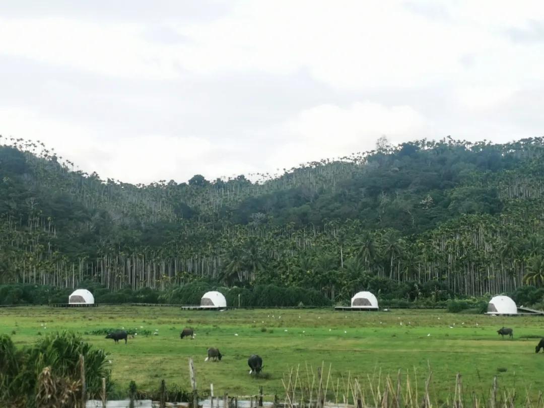 海南万宁有什么值得去的景点,海南万宁石梅湾风景