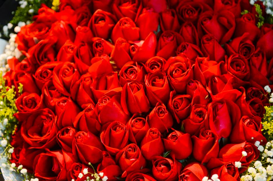 雨雪天气,来济南这些宝藏花市再合适不过了!快去把春天的浪漫抱回家吧!