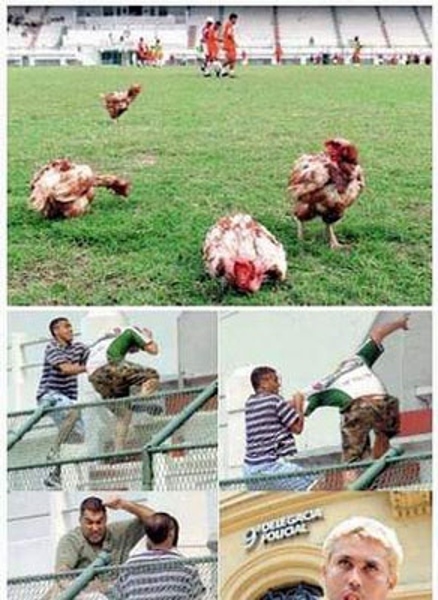 通背拳鸽武缘拿过什么冠军,鸽武缘vs赵文卓的通背拳