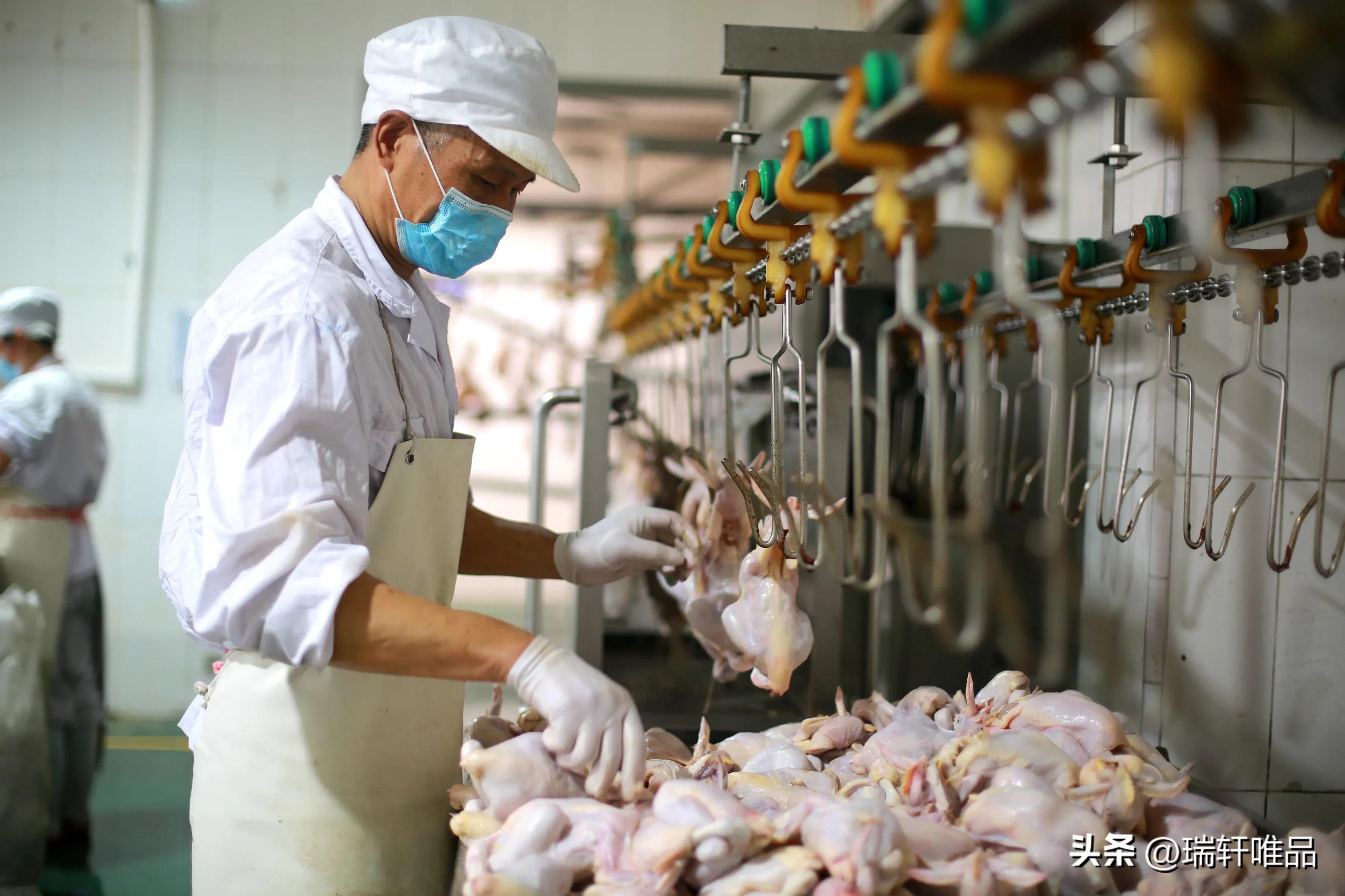 德州扒鸡永盛斋和德盛斋哪个好,德州中华老字号扒鸡有几家