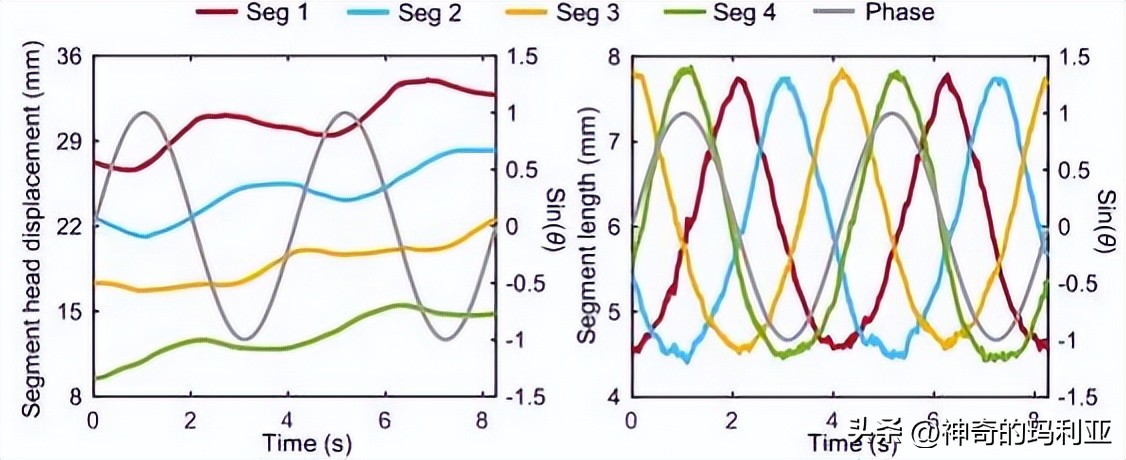 用于无线控制毫米级机器人的磁致动齿轮箱，其究竟有何作用