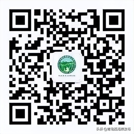 青岛冬天动物园野生动物世界,青岛野生森林动物园旅游攻略